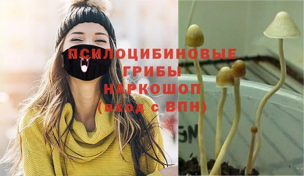 ПСИЛОЦИБИНОВЫЕ ГРИБЫ Абинск