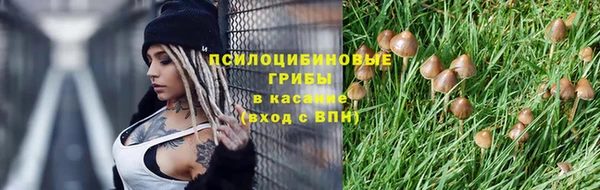 кокс Абдулино