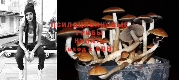ПСИЛОЦИБИНОВЫЕ ГРИБЫ Абинск