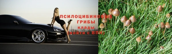 соль курить ск Абаза
