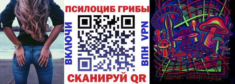 Галлюциногенные грибы MAGIC MUSHROOMS  продажа наркотиков  Керчь 