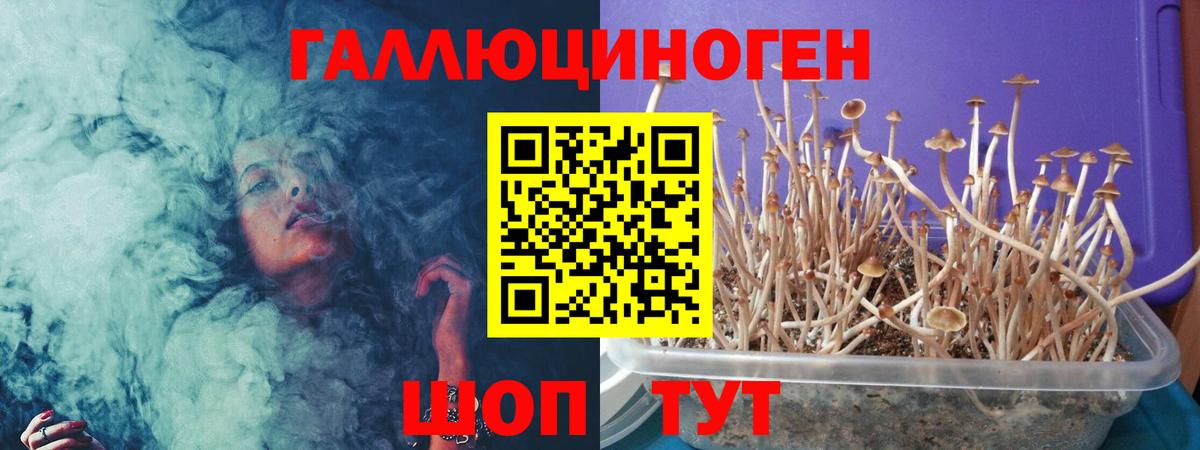 Галлюциногенные грибы мицелий  как найти закладки  Керчь  Вход с VPN  Псилоцибиновые грибы MAGIC MUSHROOMS 