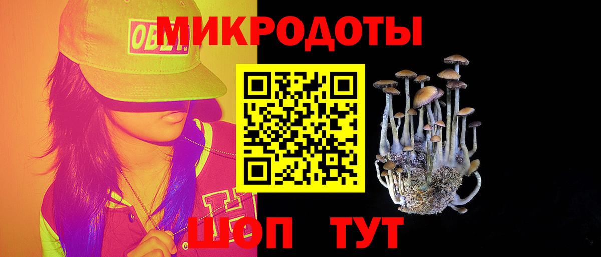 Галлюциногенные грибы Cubensis Керчь